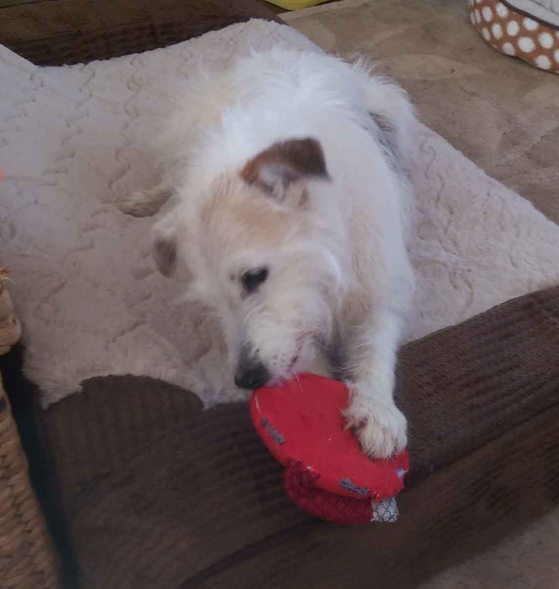 keegan-with-toy